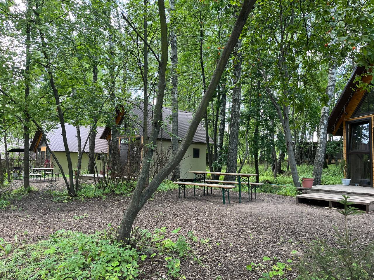 Глэмпинг Ёжик в тумане