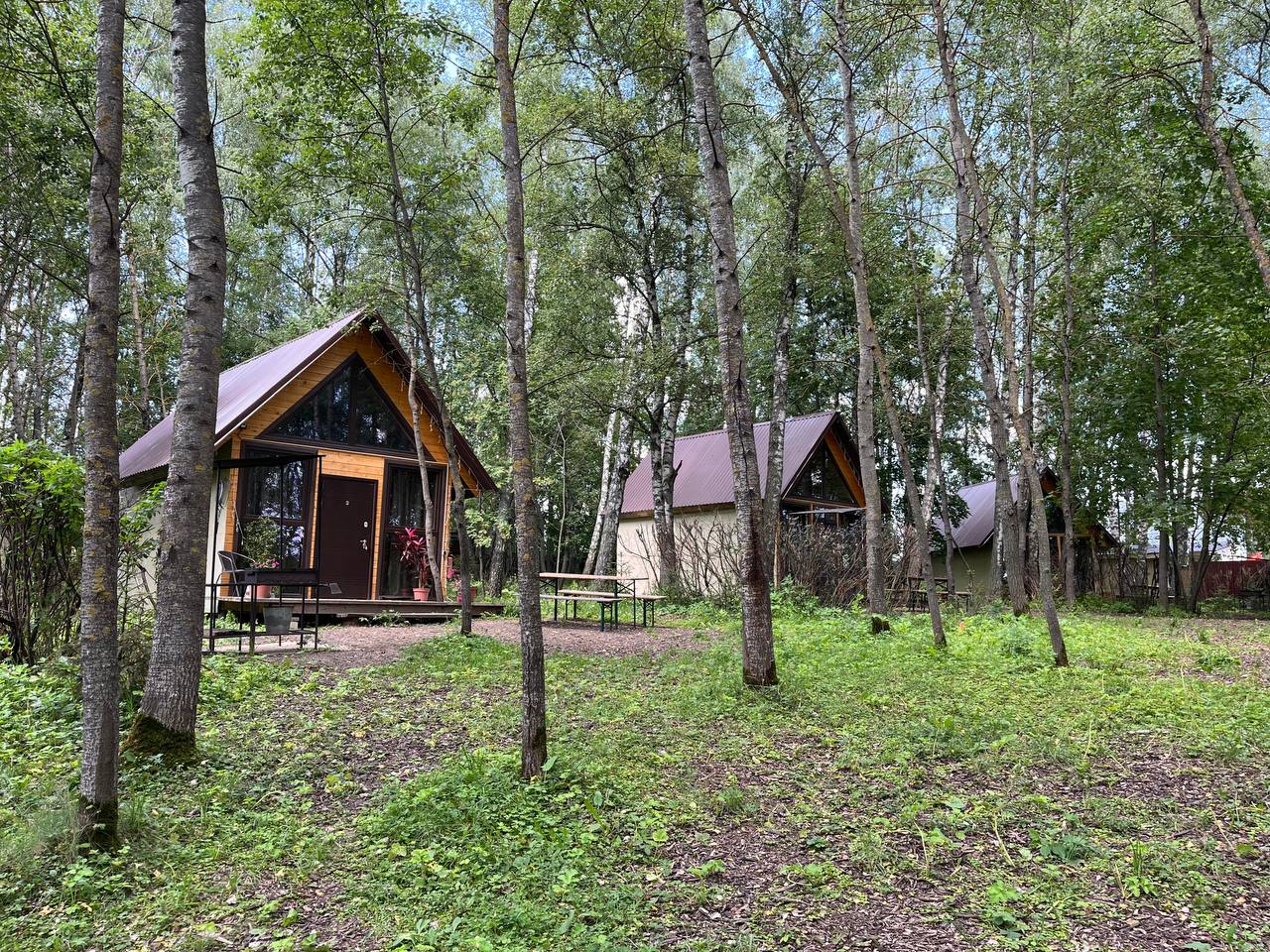 Глэмпинг Ёжик в тумане