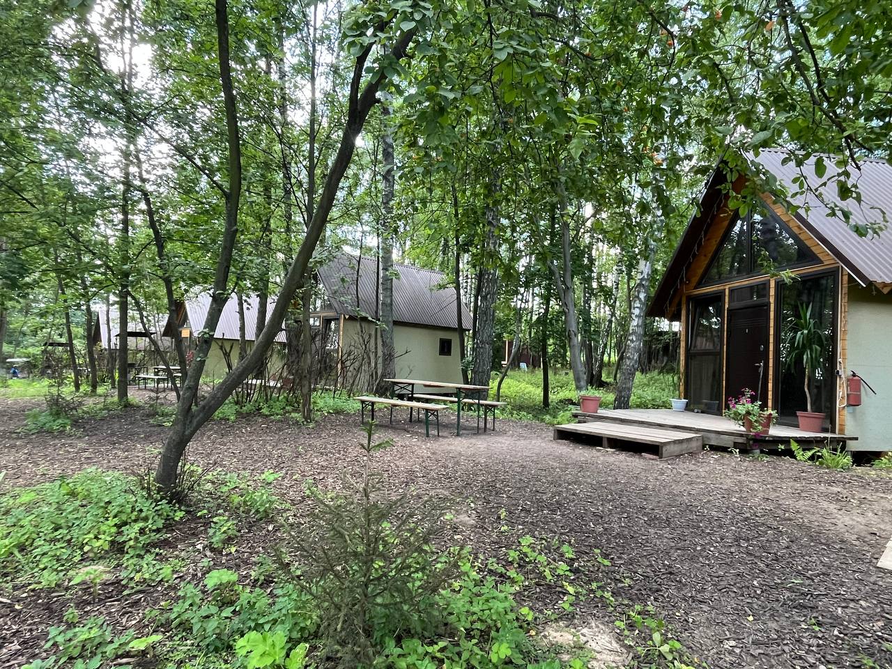 Глэмпинг Ёжик в тумане