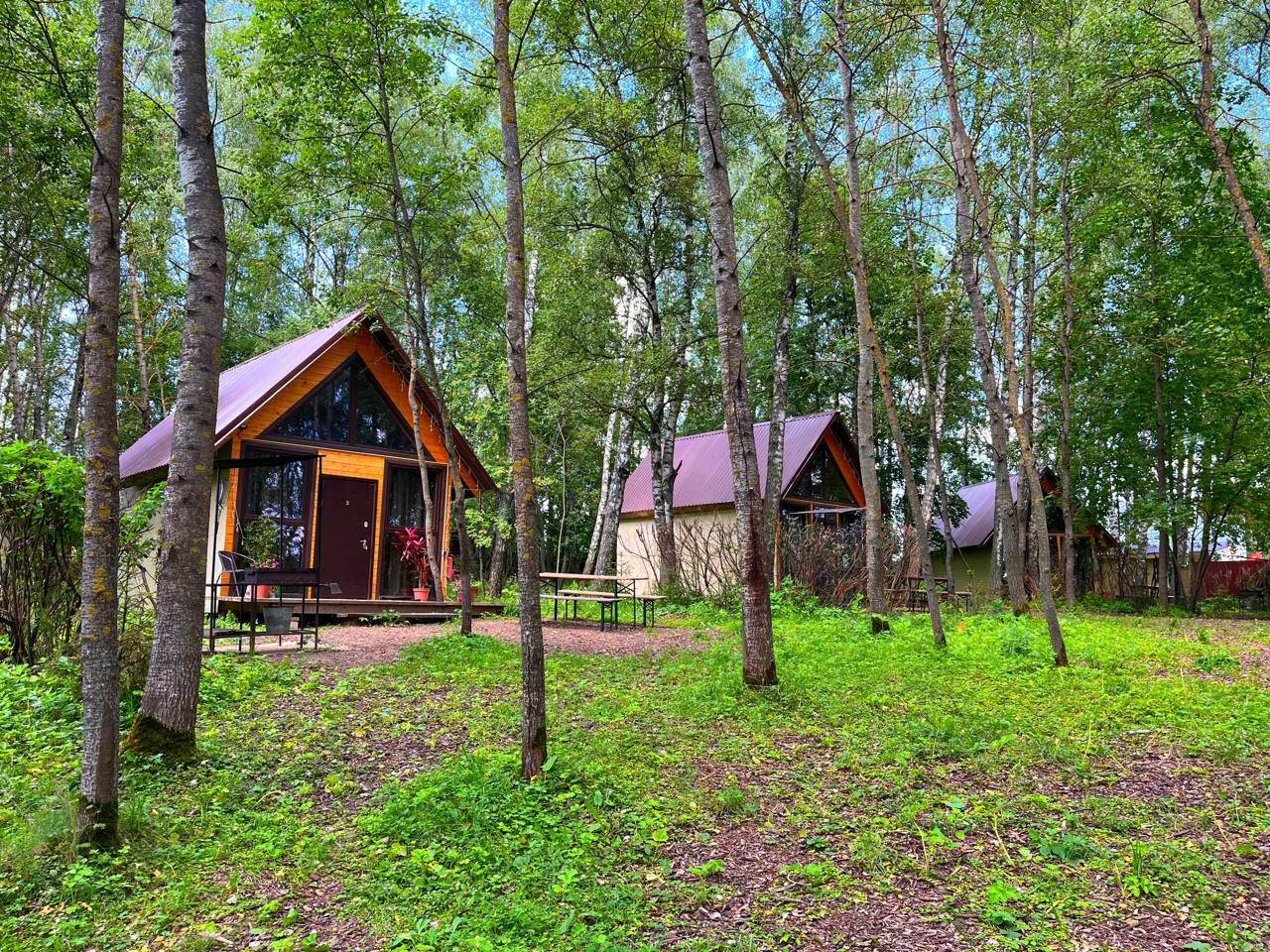 Глэмпинг Ёжик в тумане